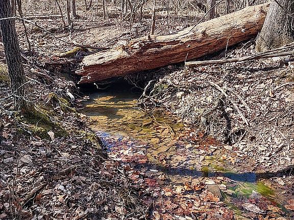 Small stream