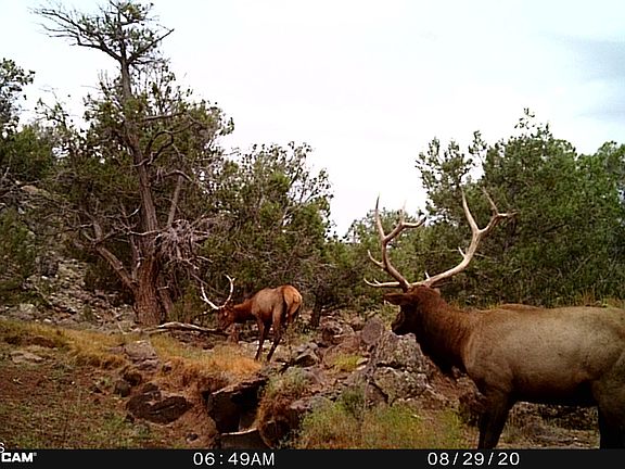 4th image of 17375 Beale Wagon Rd