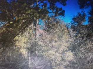 0 Poinsetta Dr, Interlachen, FL 32148