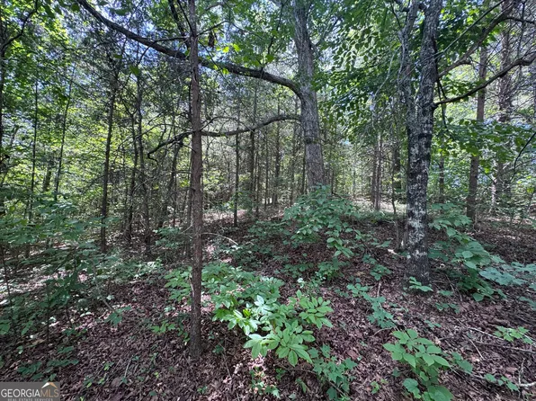 0 Sunshine Rd, Toccoa, GA 30577