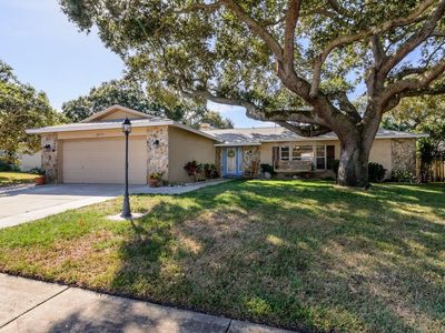 2075 Lakewood Dr, Dunedin, FL, 34698