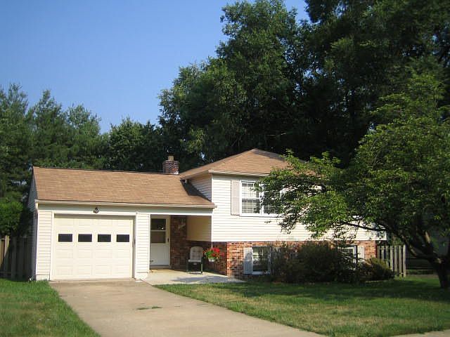Front View