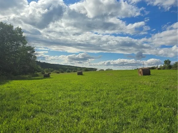 Potter Rd #8, Jasper, NY 14855