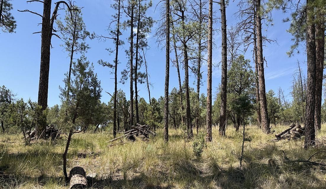 82 Paradise Valley Dr — Timberon Golf Course