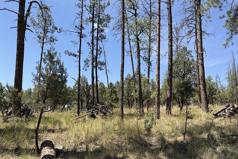 1st image of 82 Paradise Valley Dr