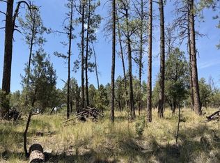 82 Paradise Valley Dr, Timberon, NM 88350