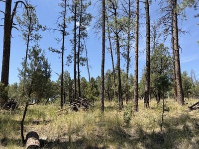 82 Paradise Valley Dr, Timberon NM - Owner Finance Home