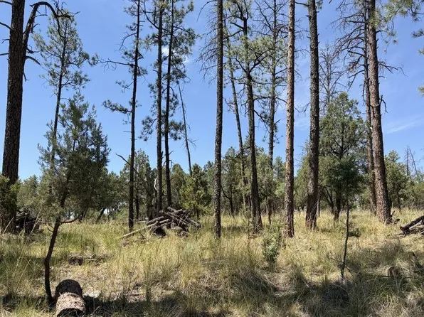 82 Paradise Valley Dr, Timberon, NM 88350