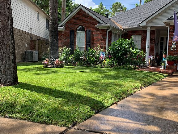 Front yard 