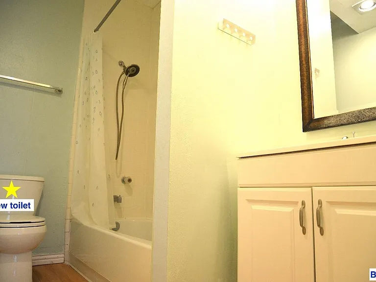 2207 S Braeswood Blvd #42J — Photo 10