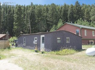 358 Griffith St, Nederland, CO 80466