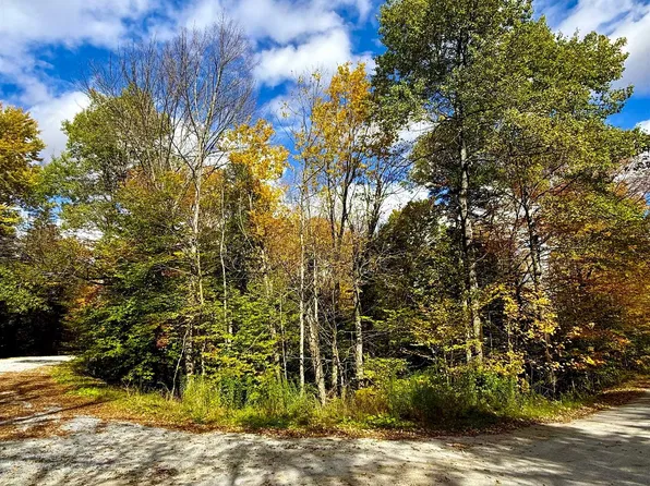 0 Okemo Way #47 & 48, Mount Holly, VT 05758