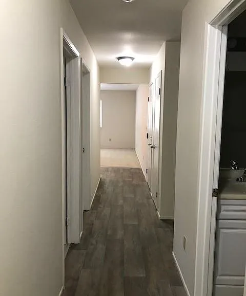 7009 Wineberry Way — Photo 12