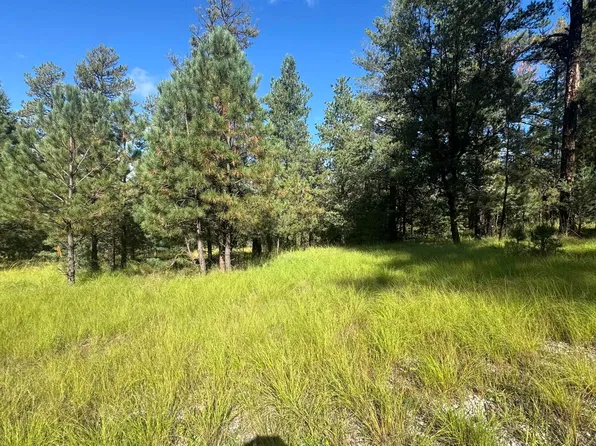 LOT 25 White Tail Pl, Mayhill, NM 88339