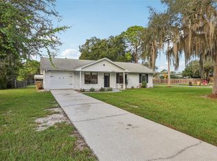 11802 Ocklawaha Dr, Leesburg, FL 34788