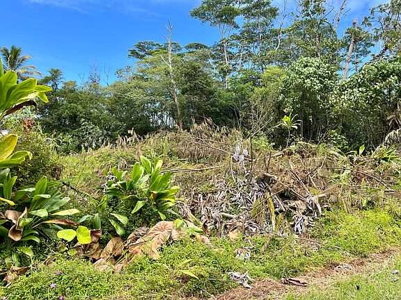 4th image of Nenue St Lot 1348