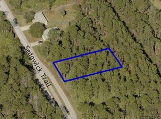49 Sedgwick Trl, Palm Coast, FL 32164