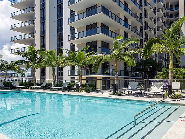 Griffis West Palm apartments rooftop pool area with lounge chairs and palm trees.