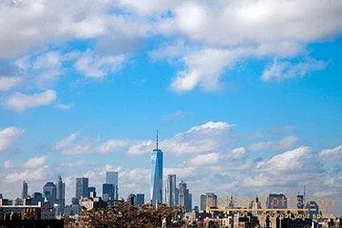 Rented by Bold New York