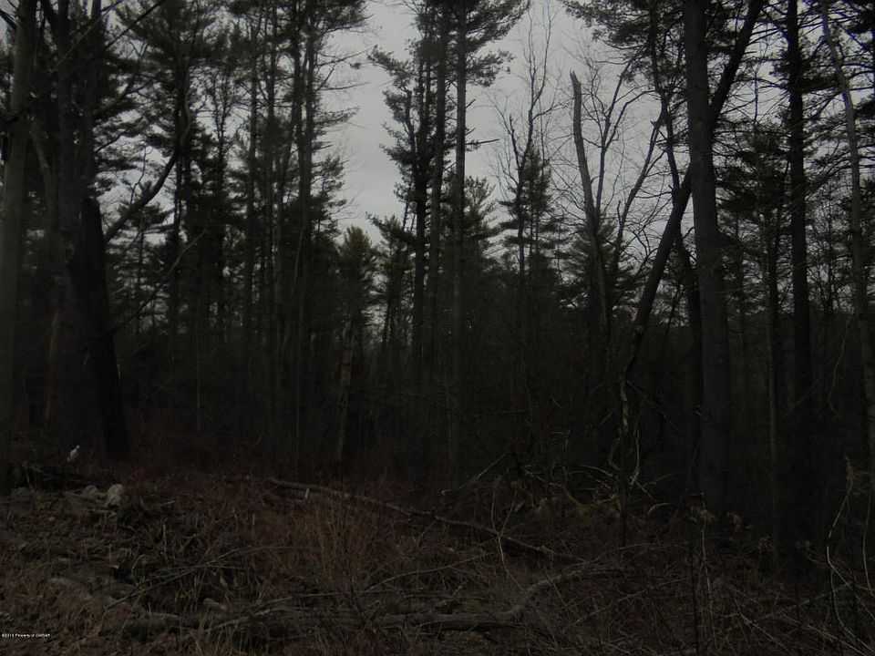 2nd image of Loyalville Rd