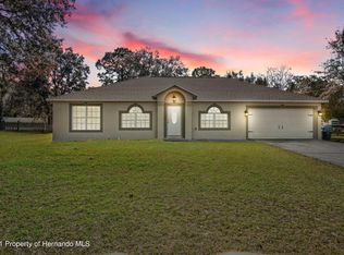 11056 Avis St, Spring Hill, FL 34608