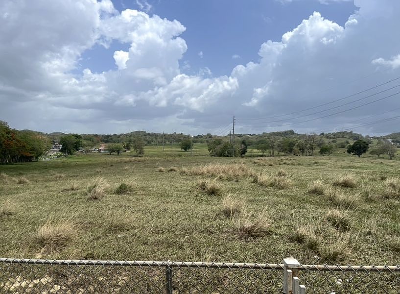 1st image of Bo Naranjito Km 5.2 Carr 130 Bo Lechuga