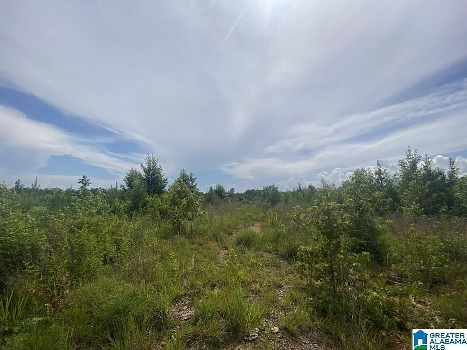2nd image of County Road 99