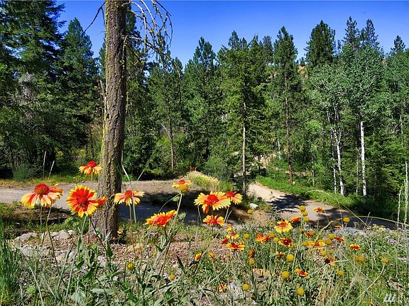 3rd image of 59 Whitebark Ln