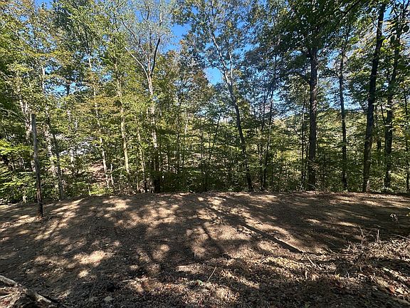 2nd image of 185 Sugar Two Rd #2