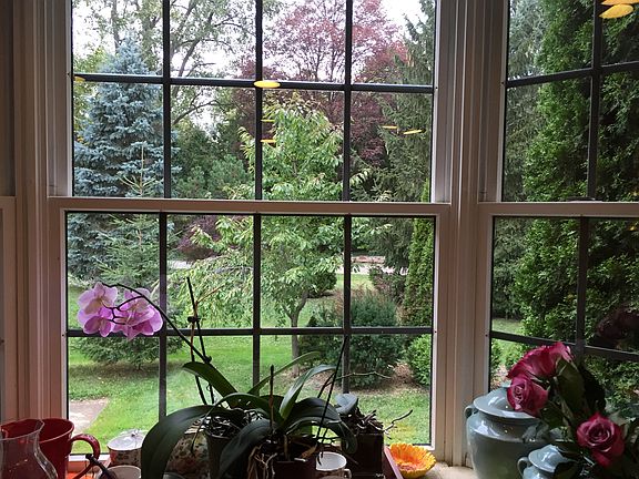 view from kitchen bay window