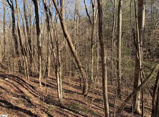 157 Saw Mill Rd, Marietta, SC 29661