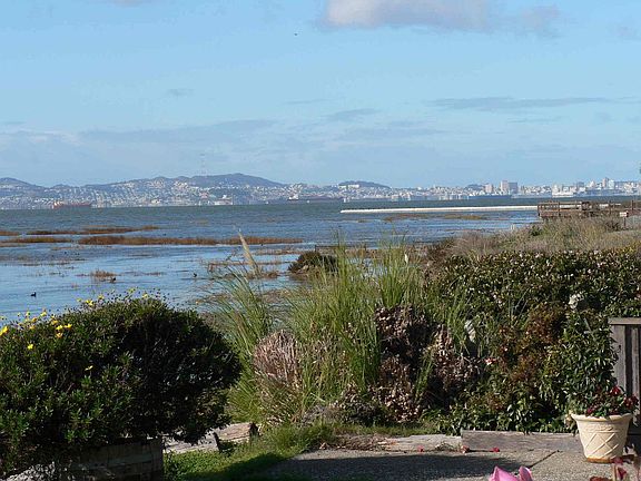 View from the backyard.