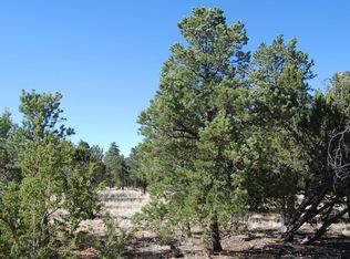 3073 Aspen Rd, Overgaard, AZ 85933