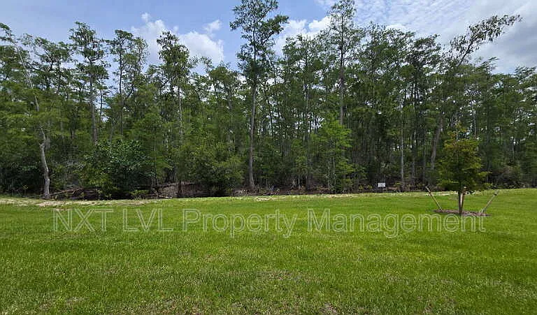 8369 Everly Preserve Dr — Photo 19