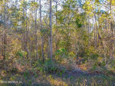 10265 FLIKKEMA Avenue, Hastings, FL, 32145