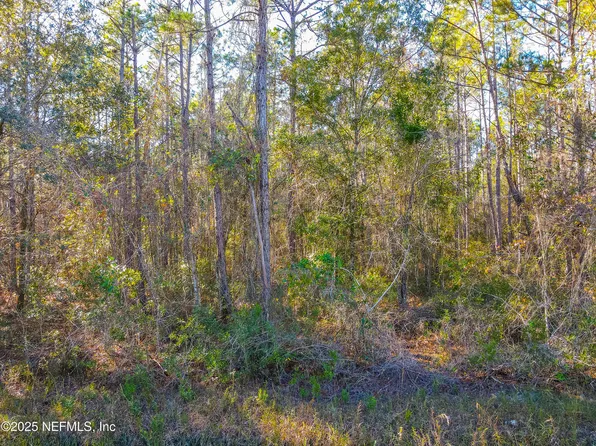 10265 FLIKKEMA Avenue, Hastings, FL 32145