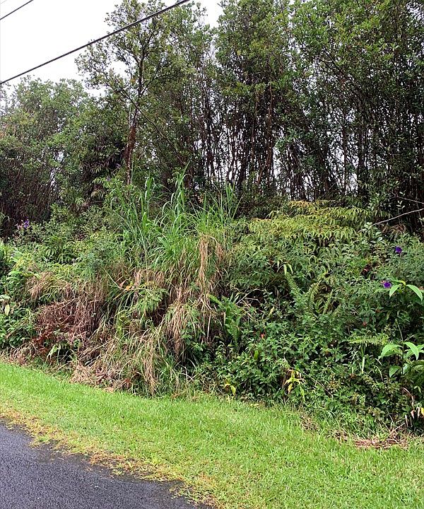 2nd image of 11-2731 Hibiscus St Lot 7668