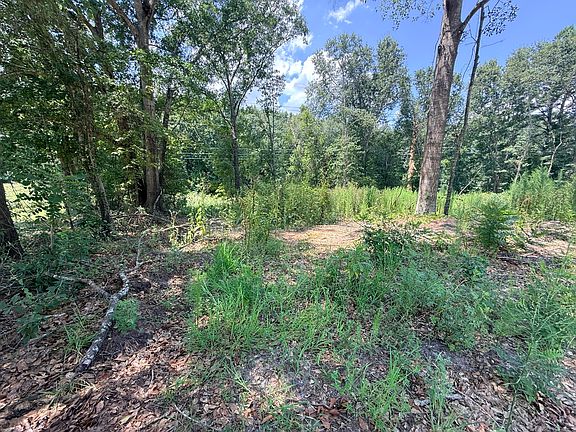 3rd image of 40 Crowndale Ct