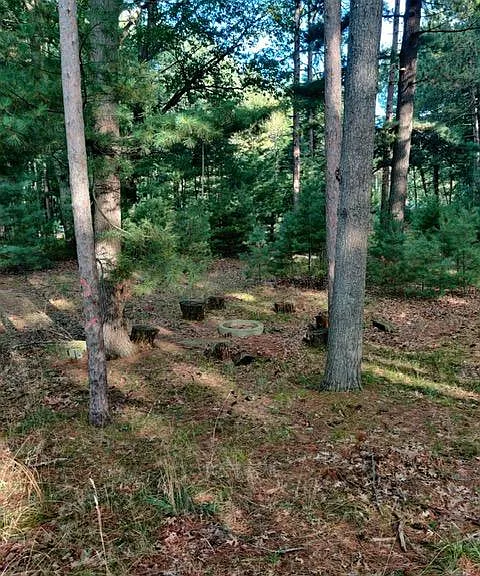 250 E Piney Rd — Photo 5