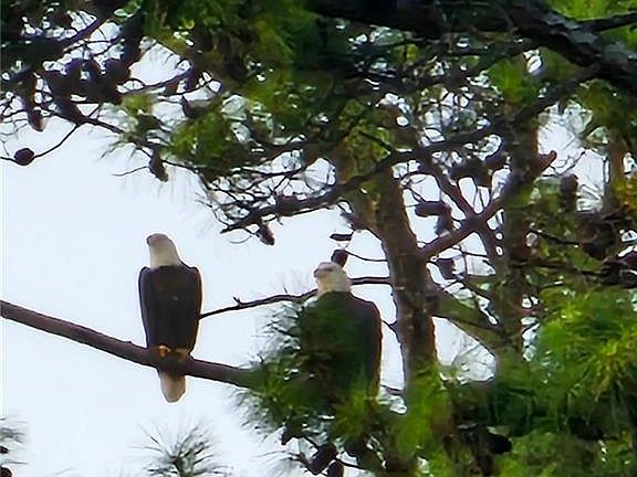 3rd image of 109 Hawks Ct #77