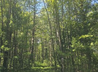 Xxx Peterson Rd, Webster, WI 54893