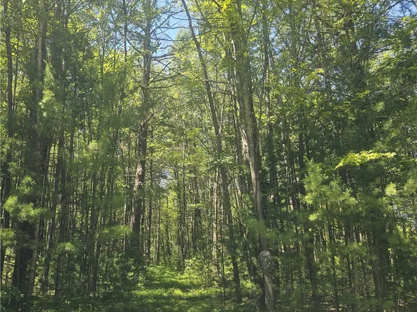 XXX Peterson Road, Webster, WI 54893