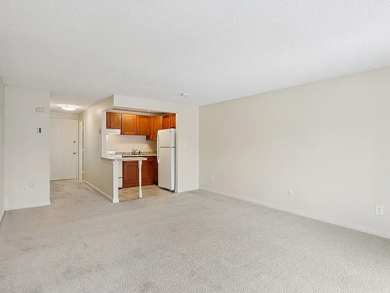Sunny studio apartment