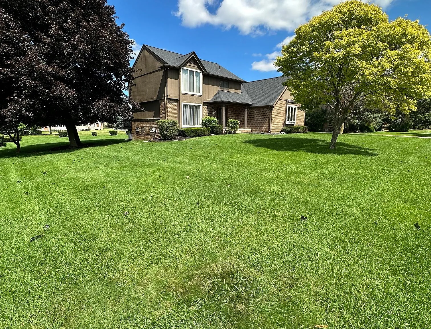 3 bed, 1979 sqft, $3,200 — Photo 4