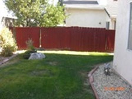 Lovely Backyard