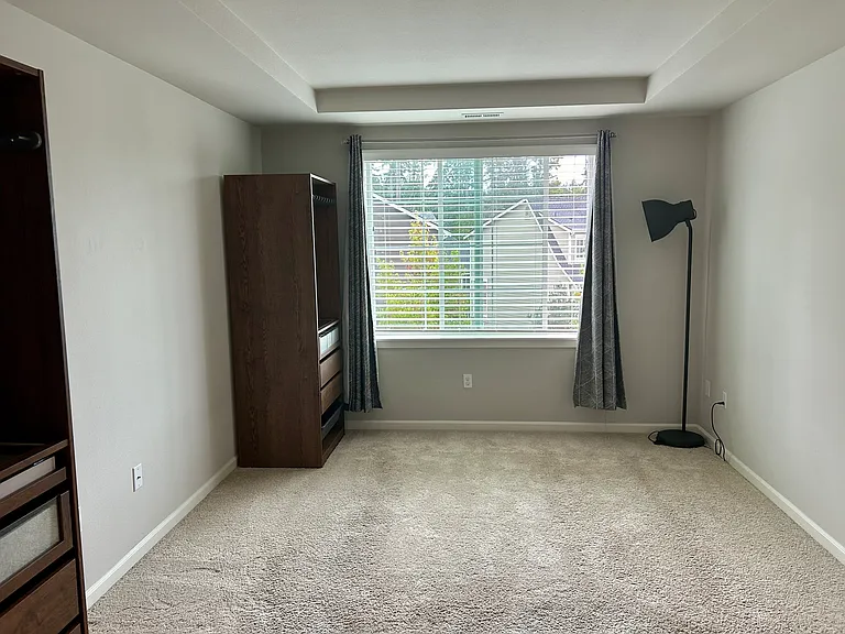 18316 43rd Dr SE — Photo 96