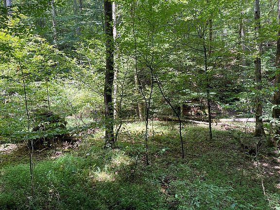 5th image of LOT 223 Bowline Dr
