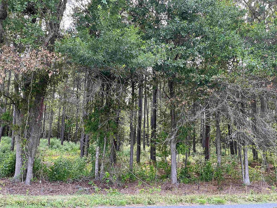 2nd image of TBD 3.64 AC Nichols Hwy.