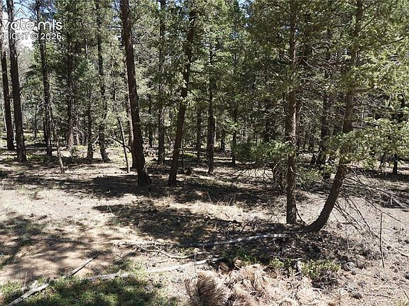 3rd image of 616 Indian Creek Rd