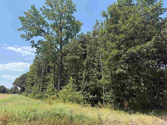 2nd image of 2 Ac Green Rd #906